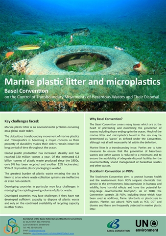 Marine plastic litter and microplastics
