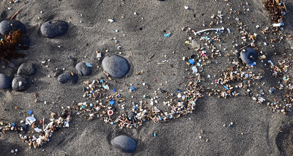 Join the Geneva Beat Plastic Pollution Dialogues, online, starting 26 November 2020