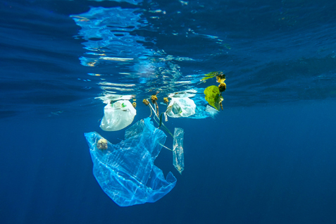 BRS Secretariat contributes to key marine litter meeting in Nairobi