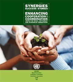 Synergies Success Stories - Enhancing cooperation and coordination among the Basel, Rotterdam and Stockholm conventions